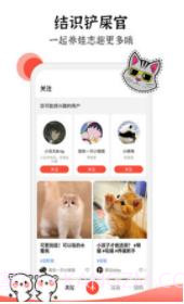 猫猫社截图2