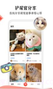 猫猫社截图3