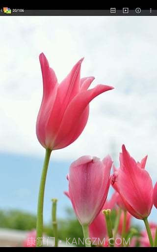 NIKONIMAGESPACE截图3 NIKONIMAGESPACE截图3