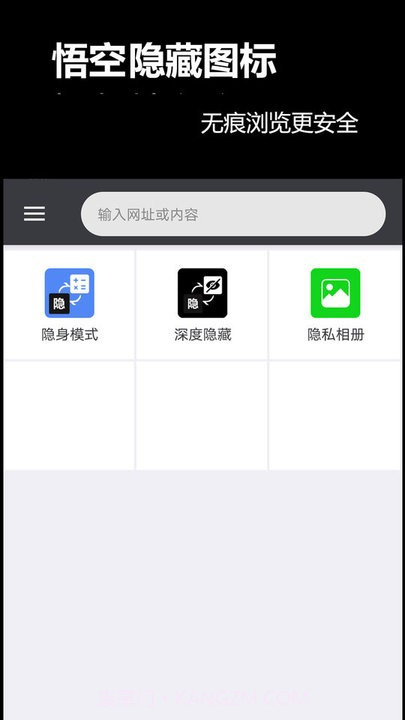 悟空隐藏图标截图1