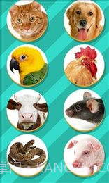 仓鼠语言翻译器(Pet Translator)截图3 仓鼠语言翻译器(Pet Translator)截图3