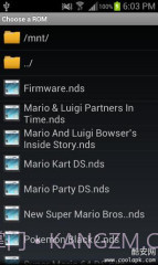 NDS模拟器:DSdroid截图1