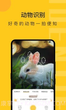 拍照识物精灵截图4 拍照识物精灵截图4