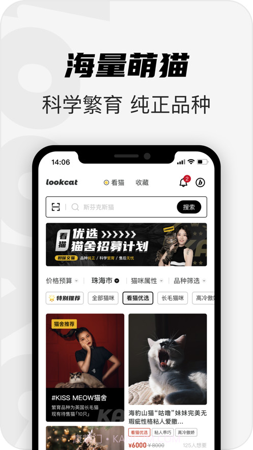 看猫截图1 看猫截图1