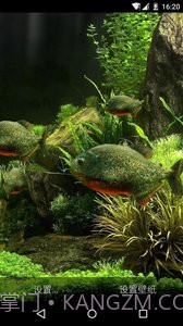 3D食人鱼：梦象动态壁纸截图1