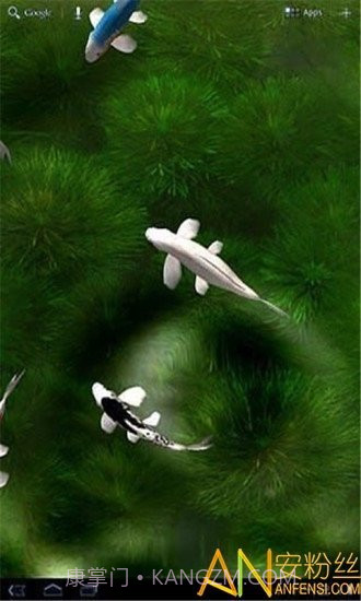 自由锦鲤动态壁纸截图1 自由锦鲤动态壁纸截图1