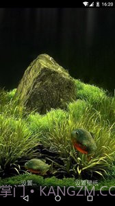 3D食人鱼：梦象动态壁纸截图3