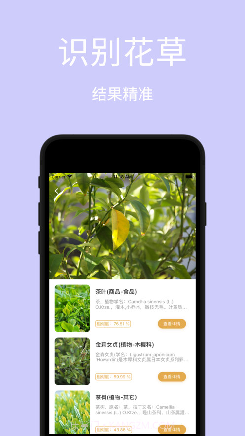 AI识图-植物识别识字识车识手写字截图2 AI识图-植物识别识字识车识手写字截图2