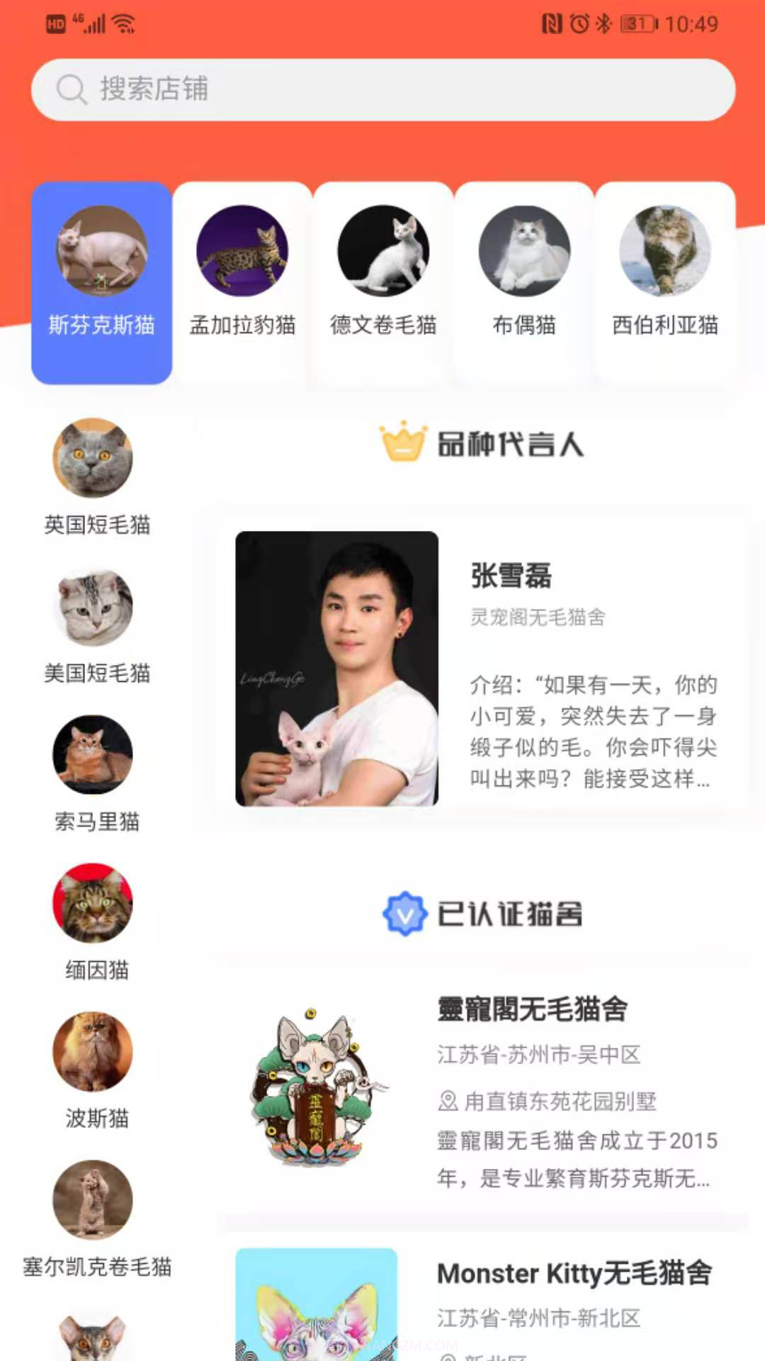 世宠截图4 世宠截图4