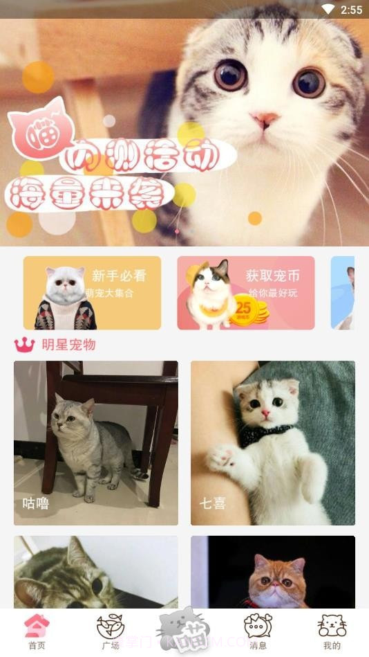 猫咪汇截图1