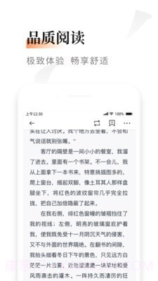黑莓小说截图5