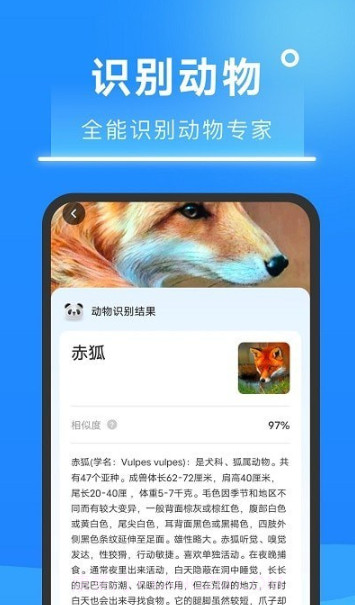 超速扫描大师截图1