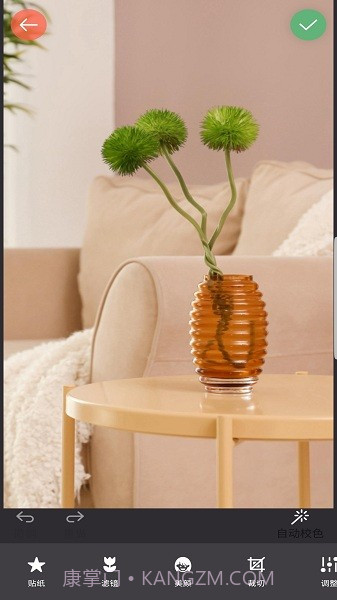 镜像相机App截图2 镜像相机App截图2