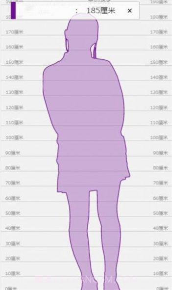 身高模拟器手机版截图3 身高模拟器手机版截图3