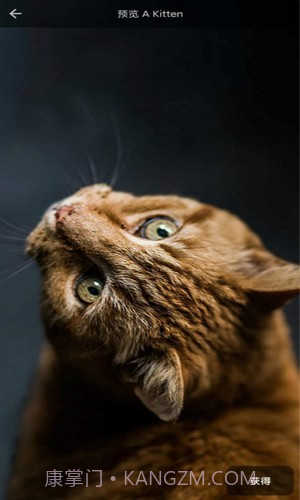 4D动态壁纸截图1