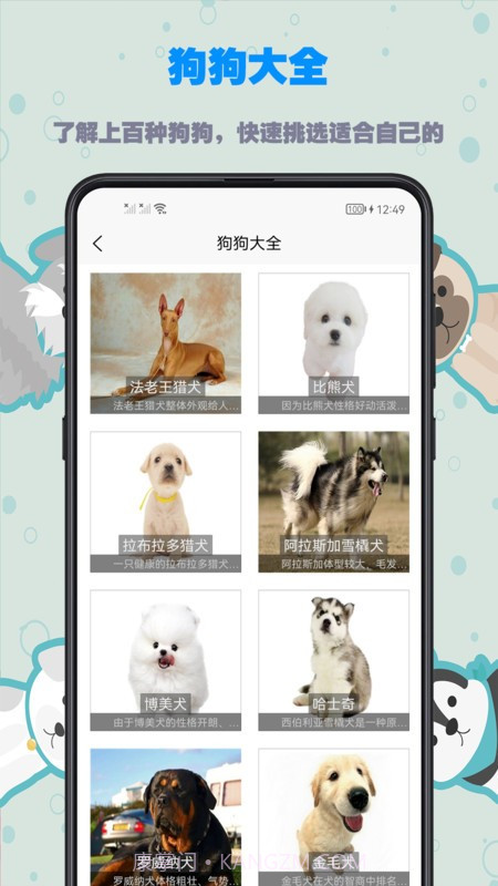 训练狗狗教程截图3 训练狗狗教程截图3