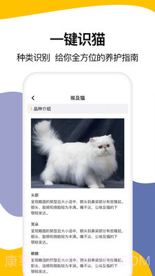 猫语翻译大全截图4 猫语翻译大全截图4