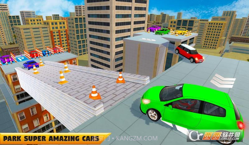 真正的停车大师截图4