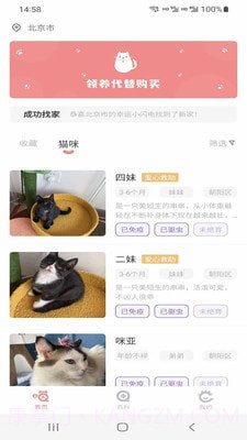 小猫先生截图3