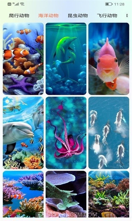 广场动物园截图1 广场动物园截图1