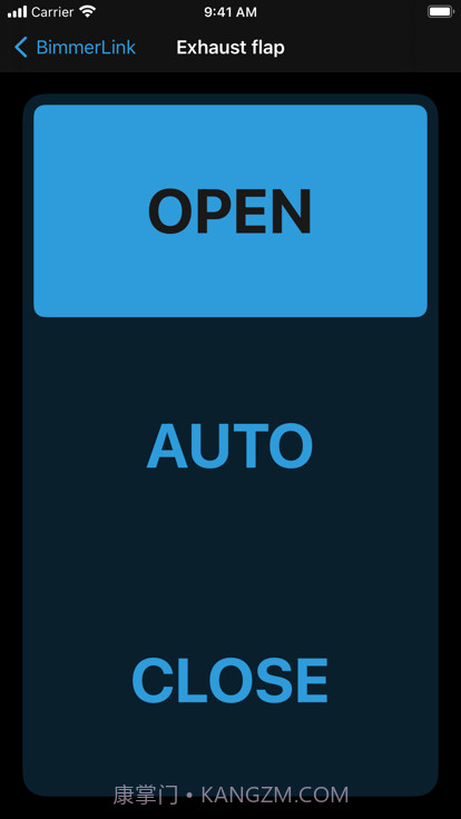 BimmerLink传感器截图3