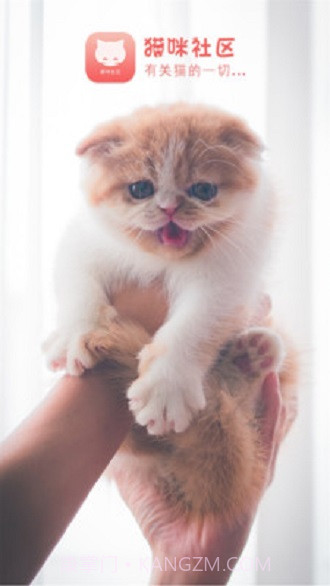 猫咪社区截图1