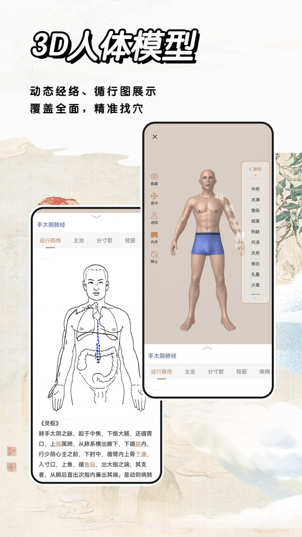 中医经络穴位截图2 中医经络穴位截图2