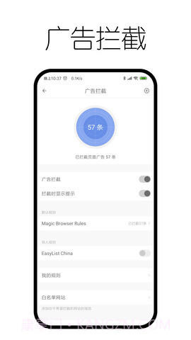 神奇浏览器截图3