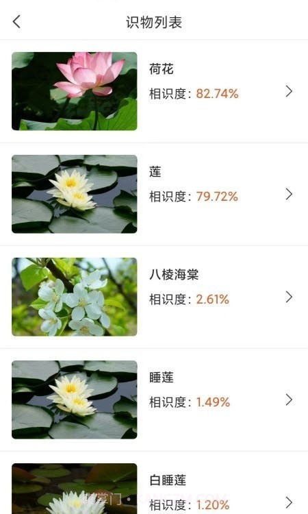 拍照识物全能王截图2