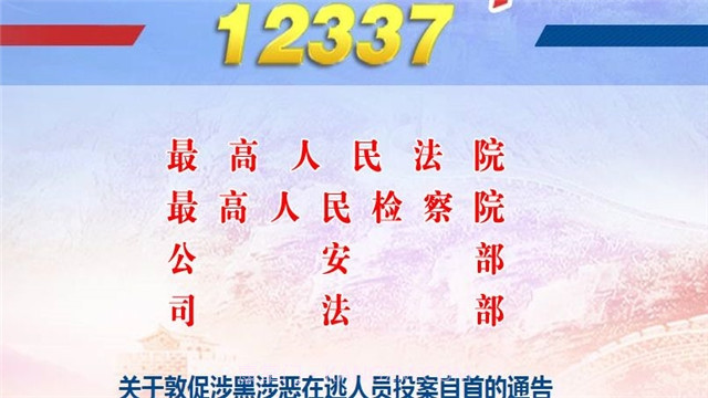 12337全国扫黑办智能化举报正式版平台截图1
