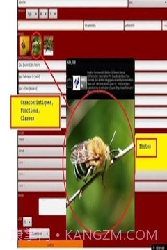 ABA自闭症教育截图2