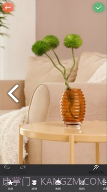 实时镜像相机截图1