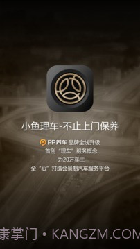 PP车截图1