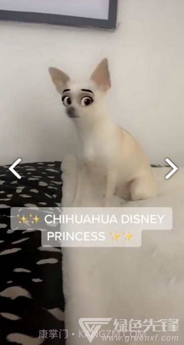 迪士尼滤镜(snapchat迪士尼滤镜)V1.1 安卓免费版截图2