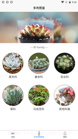 肉叶汉字拼音截图1 肉叶汉字拼音截图1