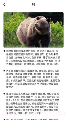 最强动物园截图1