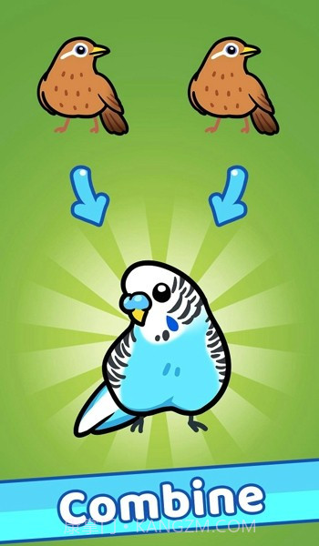 放置鸟乐园截图2 放置鸟乐园截图2