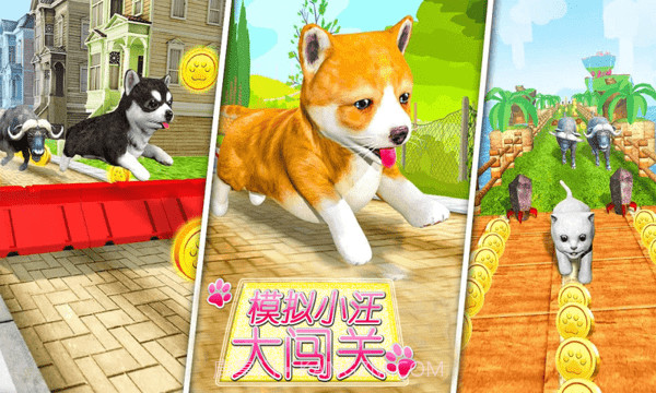 超级小汪大闯关截图3 超级小汪大闯关截图3