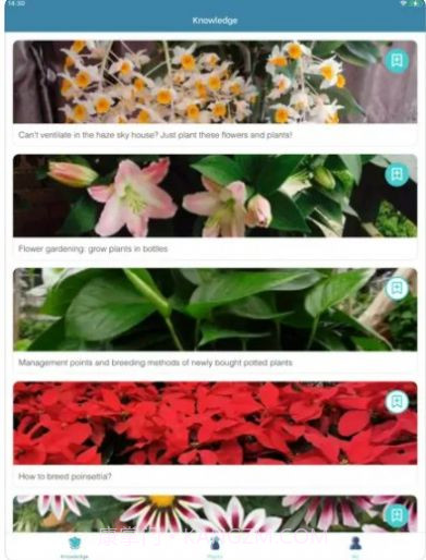 花草小阁密码截图2 花草小阁密码截图2