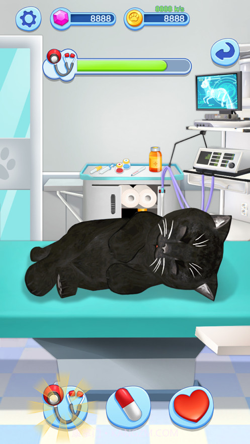 宠物大乐园截图4 宠物大乐园截图4