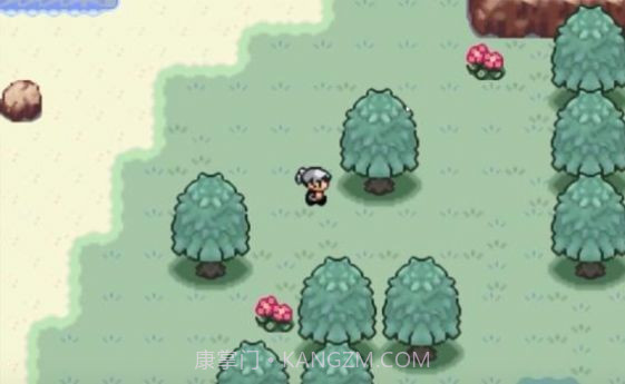 口袋妖怪火箭队截图3