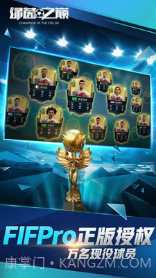 绿茵之巅截图2 绿茵之巅截图2