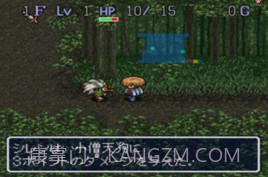 不可思议的迷宫（风来的西林）截图1