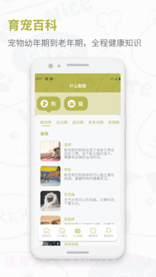 猫狗实时翻译器截图1 猫狗实时翻译器截图1