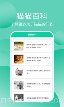 猫猫交流工具截图4