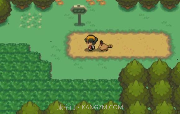 口袋妖怪心金随机版截图3 口袋妖怪心金随机版截图3