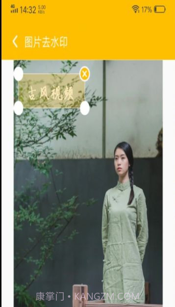 中企去水印专家截图3