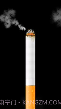 卷烟模拟器截图4