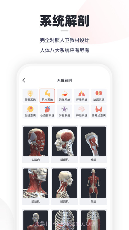 口袋解剖截图1 口袋解剖截图1