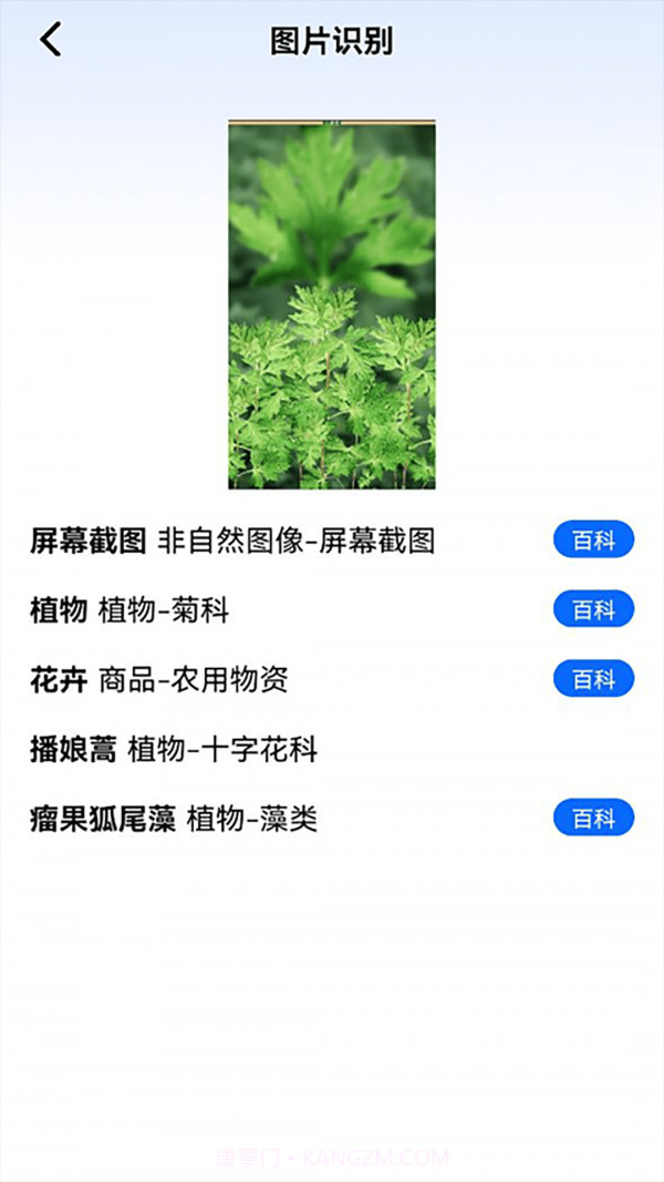 神农百草园识别截图2